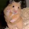 xinhgaivkllll