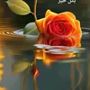user1780715463813