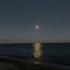 midnight_.fall