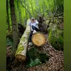 _drellinka_
