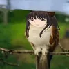 torumao