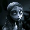 zaroo_hasanxiety
