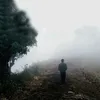 max__1__max