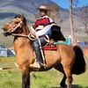 brauliobarraza905