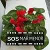 dyf5re97jm9t