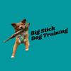 bigstickdogtraining