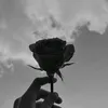 ubit_repostami