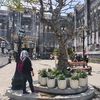 enyarofah