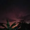 daiarinha123