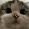 just_izacx