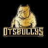 otsbullys_