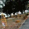 franciscodarlam2