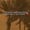 allma126