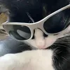 watcha_doing2