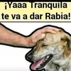 charito75276