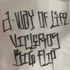 vicla_flip