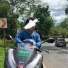 joshyanga5