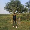 safi_1400