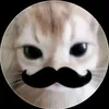 imjustachillman3