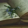 jeab7826