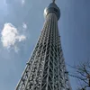 dypmcplfbx6s