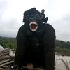 grandongbalap685