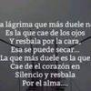 adoradoradelrey19