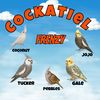 cockatielfrenzy