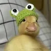 duckpancakes879