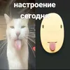 swlerad