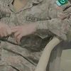 masoom.foji2464