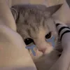 thaoleee2_11
