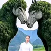sonpham4133