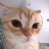 quynhhuong.uwu