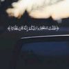 user8555237977549