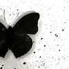 y.8_y