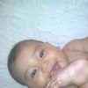 salva_7561