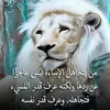 aminaamouna8828