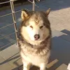 greta.loffredoo