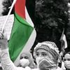 chaima.biran