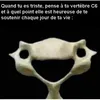 user797556521633
