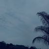 mazwane_omuhle1