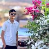 _8basset