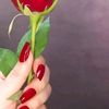 amna.amna2511