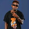 shagie_promoter