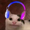 Phú Polite