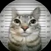 catinprison_019