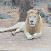 Bonanza Exotic Park