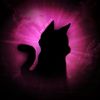 catv_dubtt2