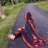 rahima.islam835